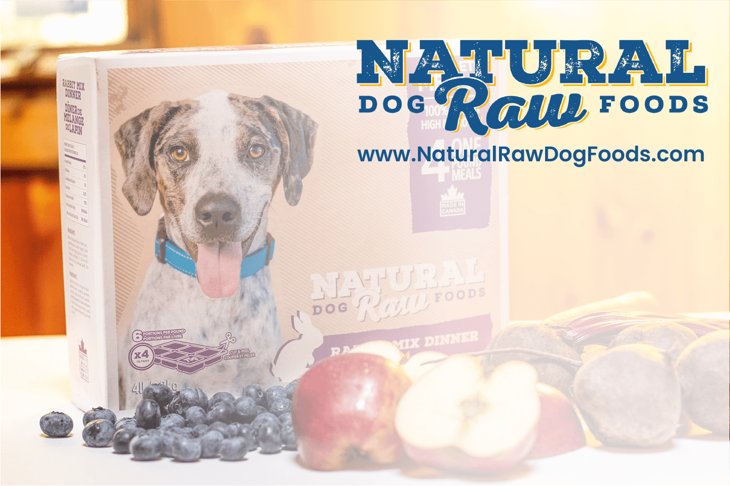 best canadian raw dog food