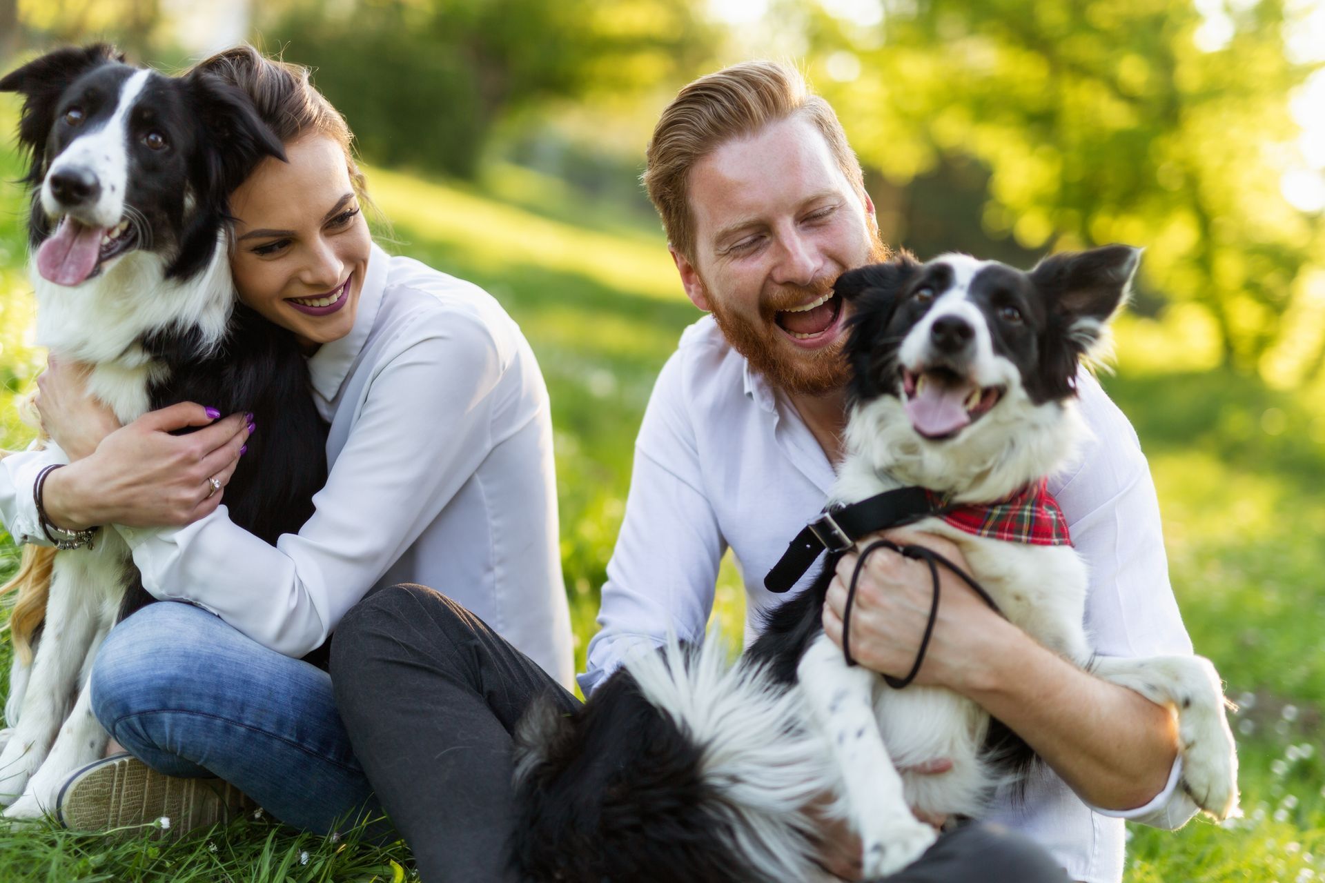 A man and a woman are sitting in the grass with their dogs.