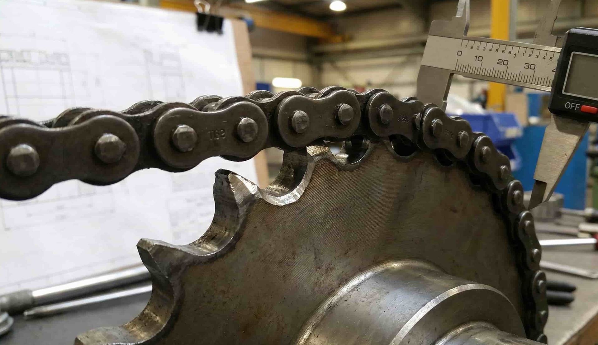 Compatibilità catene-pignoni