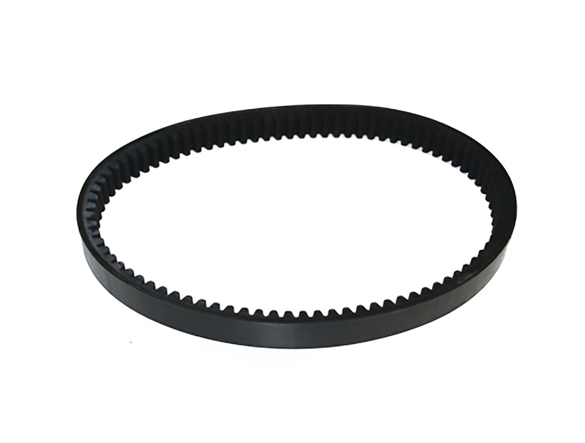 Cinghia di trasmissione dentata nera, di forma circolare.