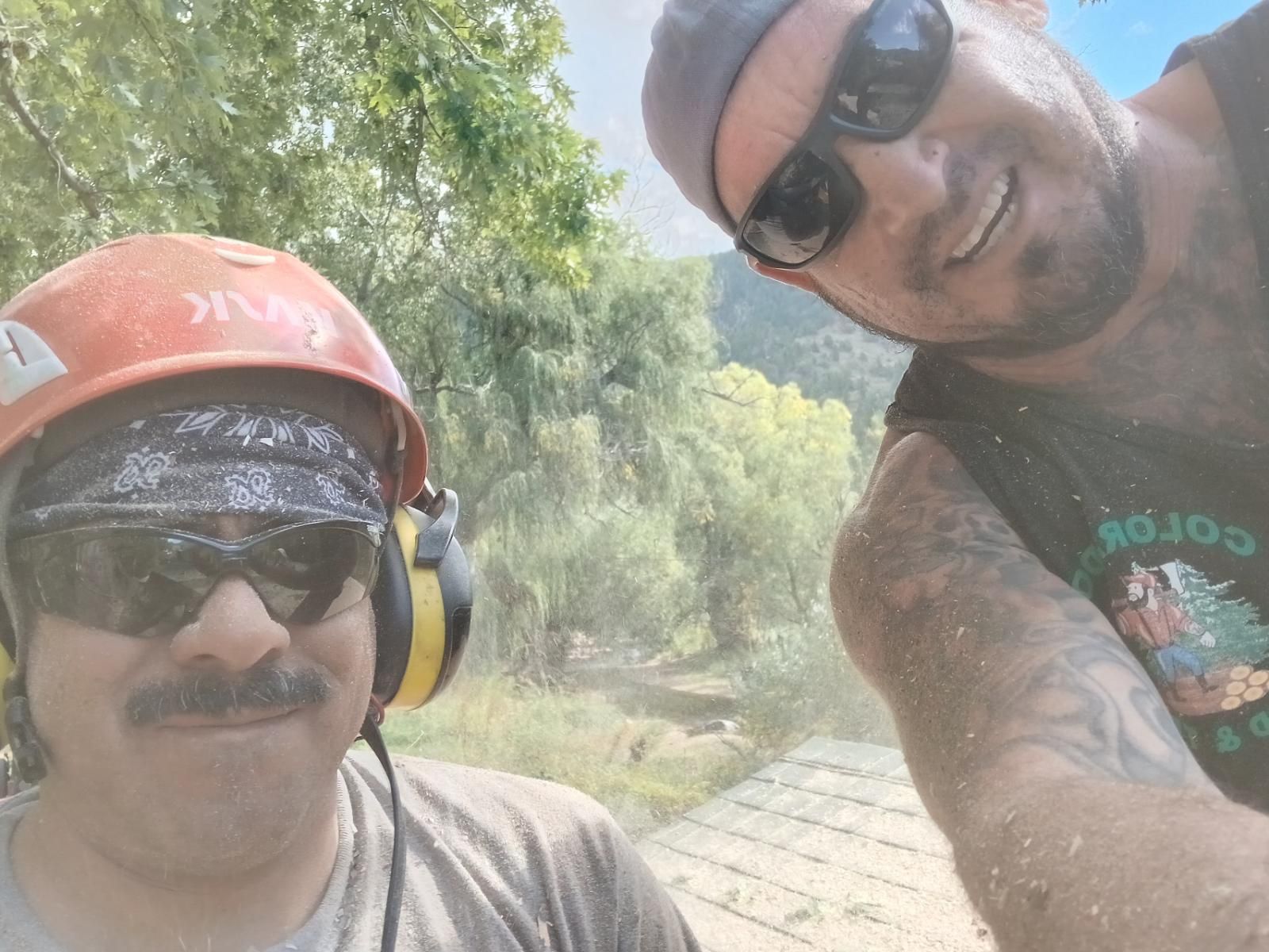 Tree Removal Services