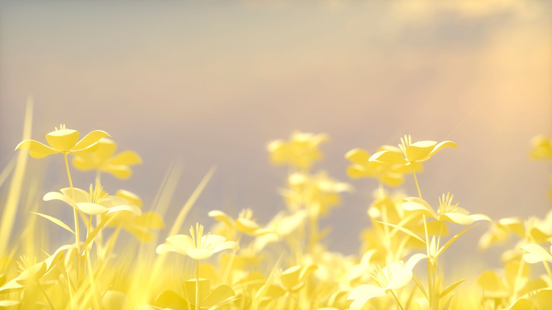 There are many palm trees on the beach at sunset.