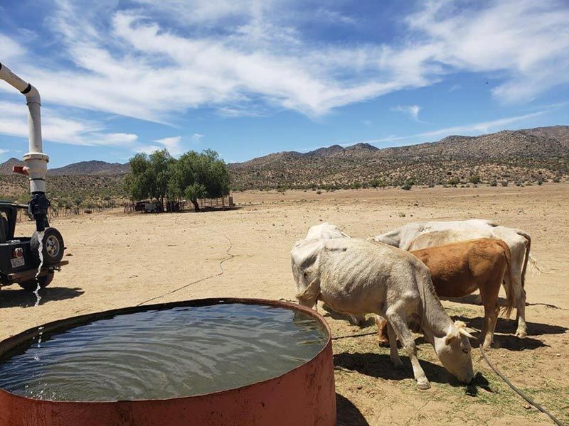 Venta rancho 25 hectáreas con pozo propio con permiso de agua