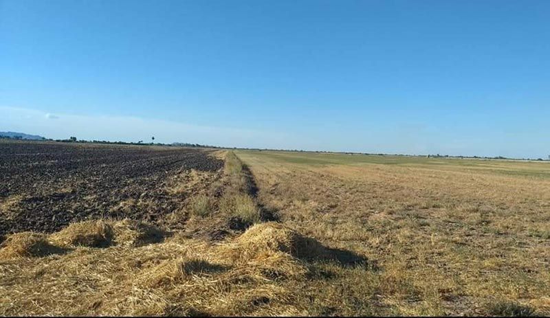 Se vende terreno 128 hectáreas en Valle de Mexicali