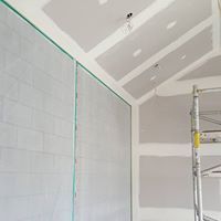 Ceiling Plaster work