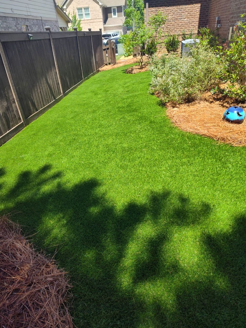 A lush green lawn with a black fence in the background.