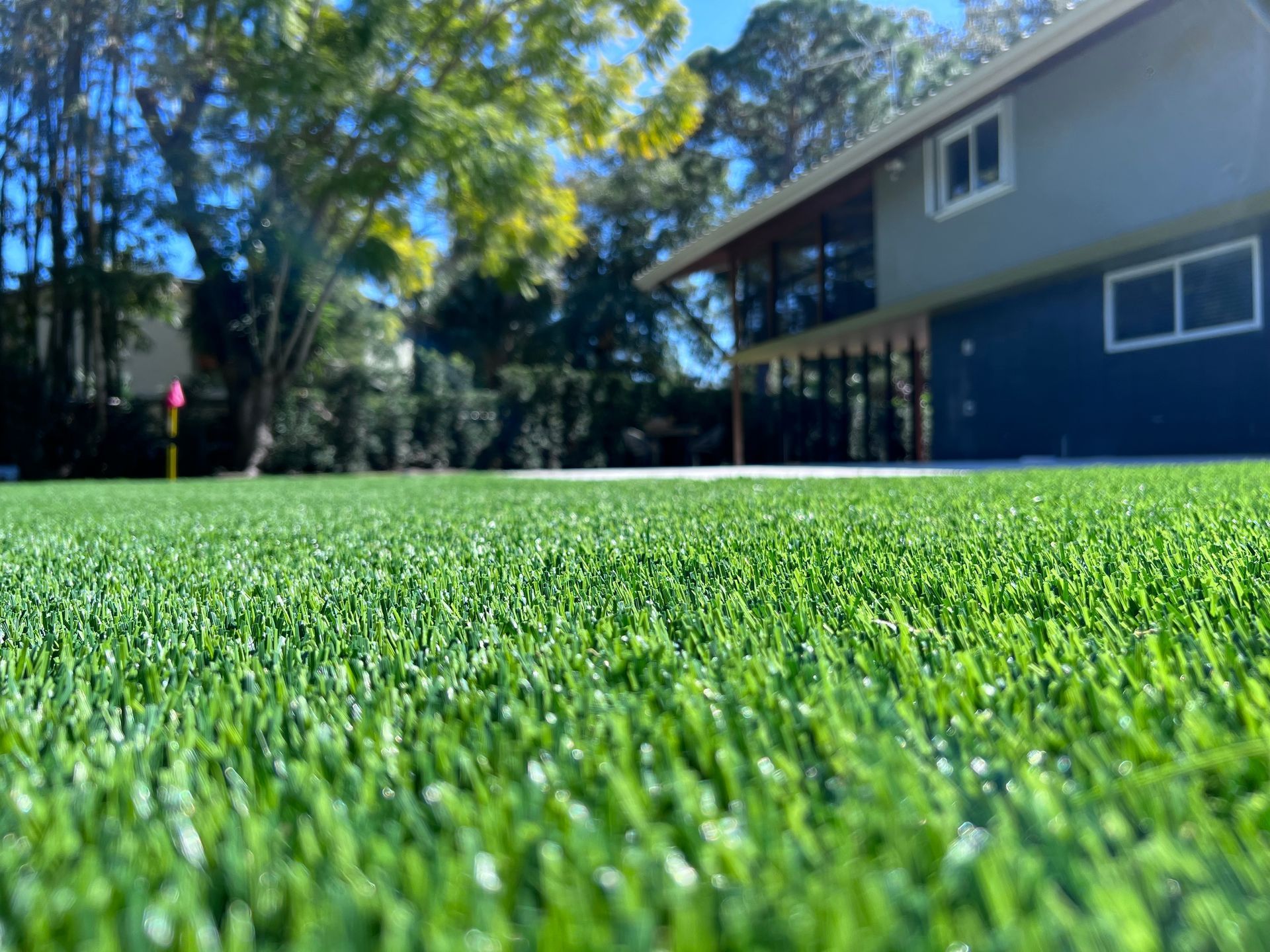 A close up of a lush green lawn in front of a house.