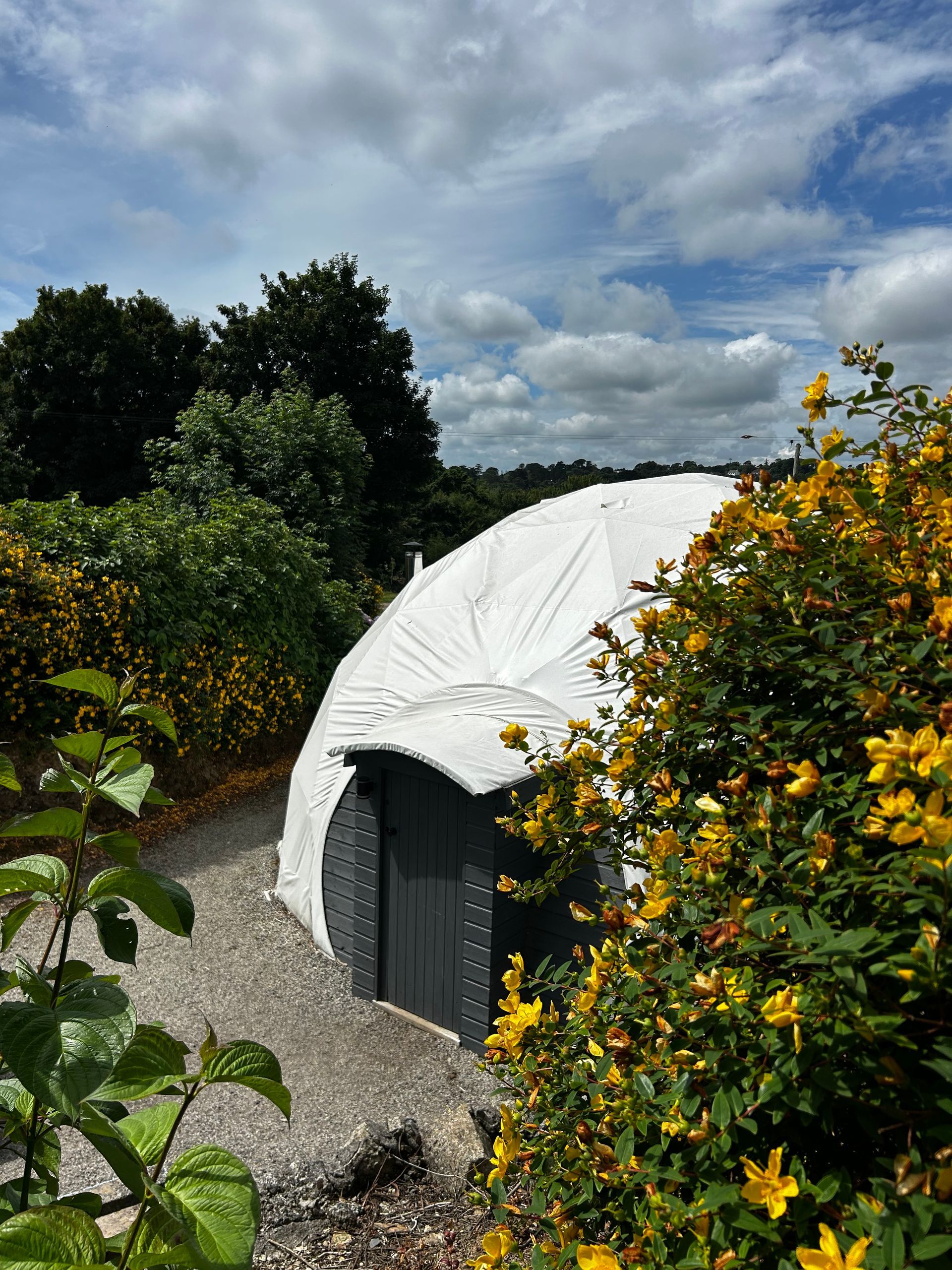 A white dome-shaped tent structure nestled in a garden with vibrant yellow flowers and a gravel path under a cloudy sky.