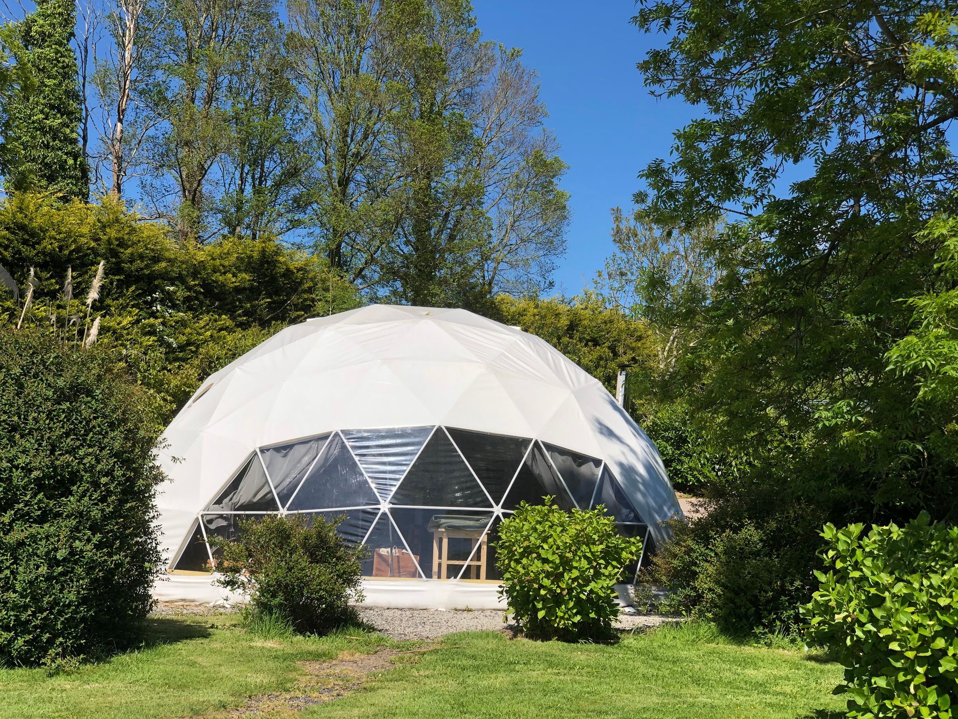 A white geodesic dome tent sits in a green, tree-filled garden on a sunny day.