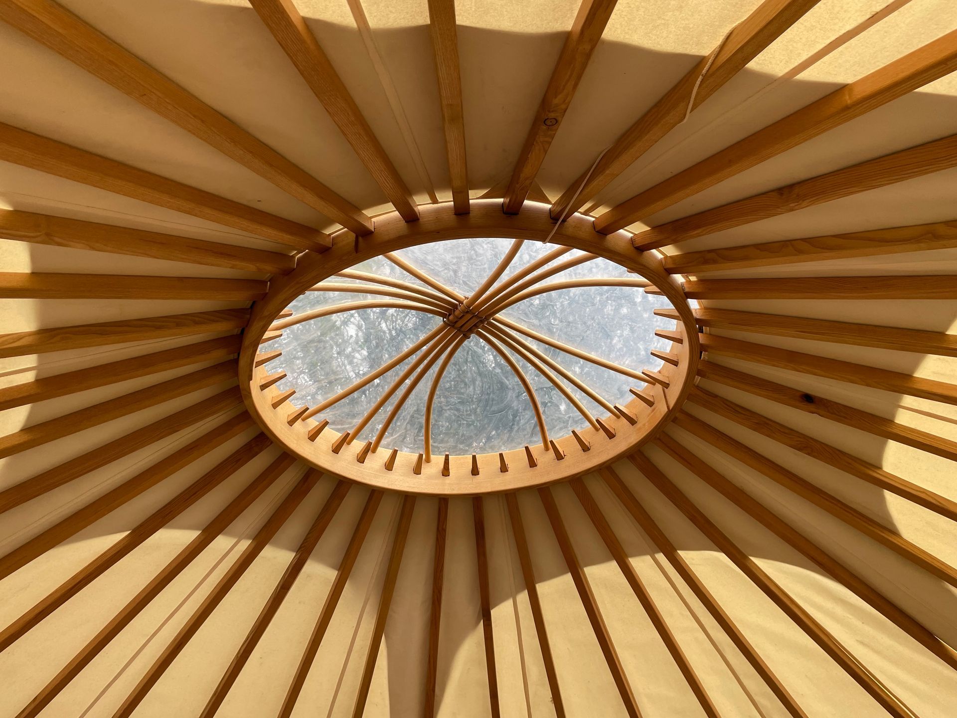Low-angle interior view of a yurt ceiling with wooden roof poles radiating toward a central circular window skylight.