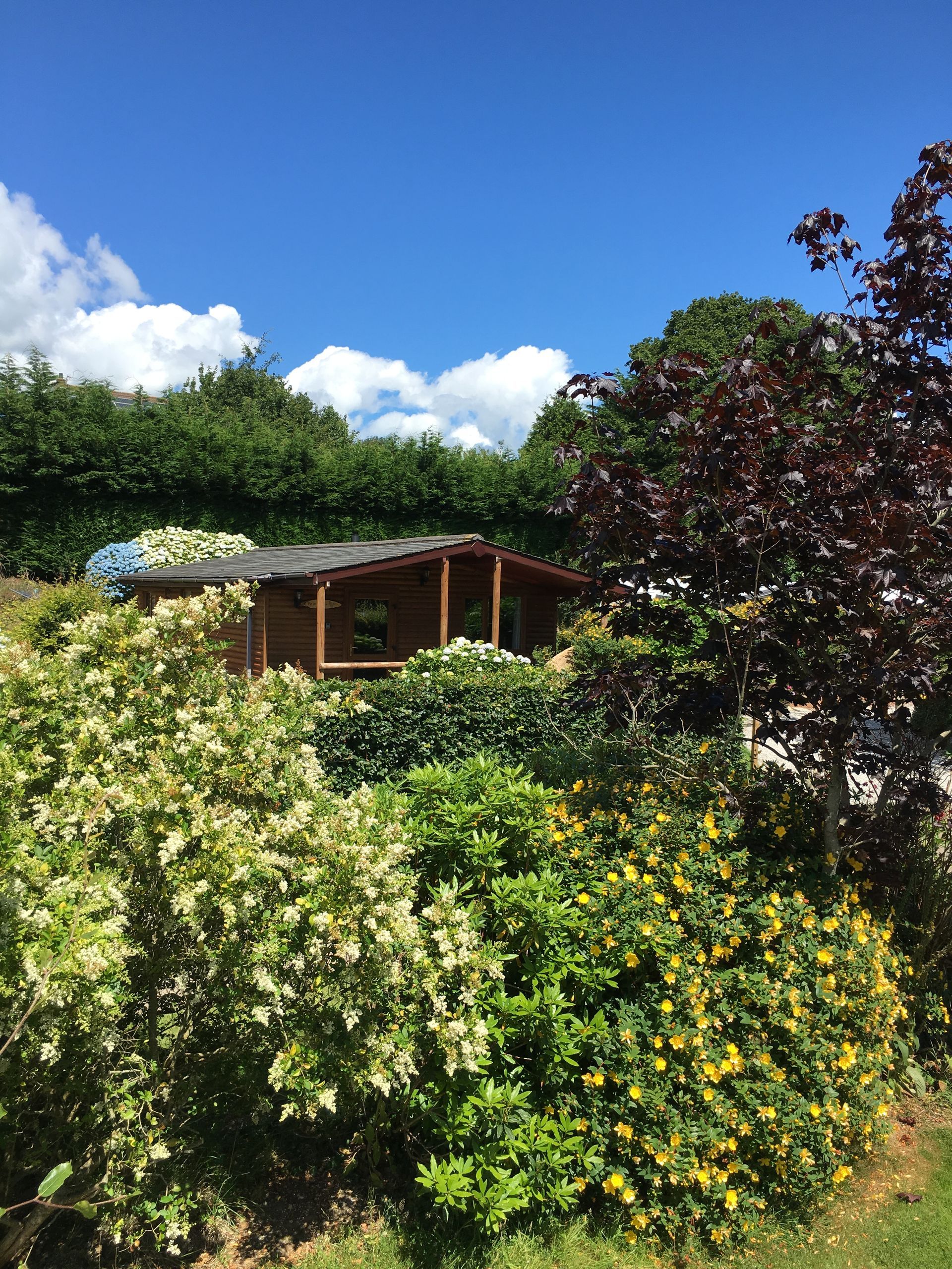 A wooden garden cabin nestled among lush green and yellow bushes under a bright blue sky with scattered white clouds.