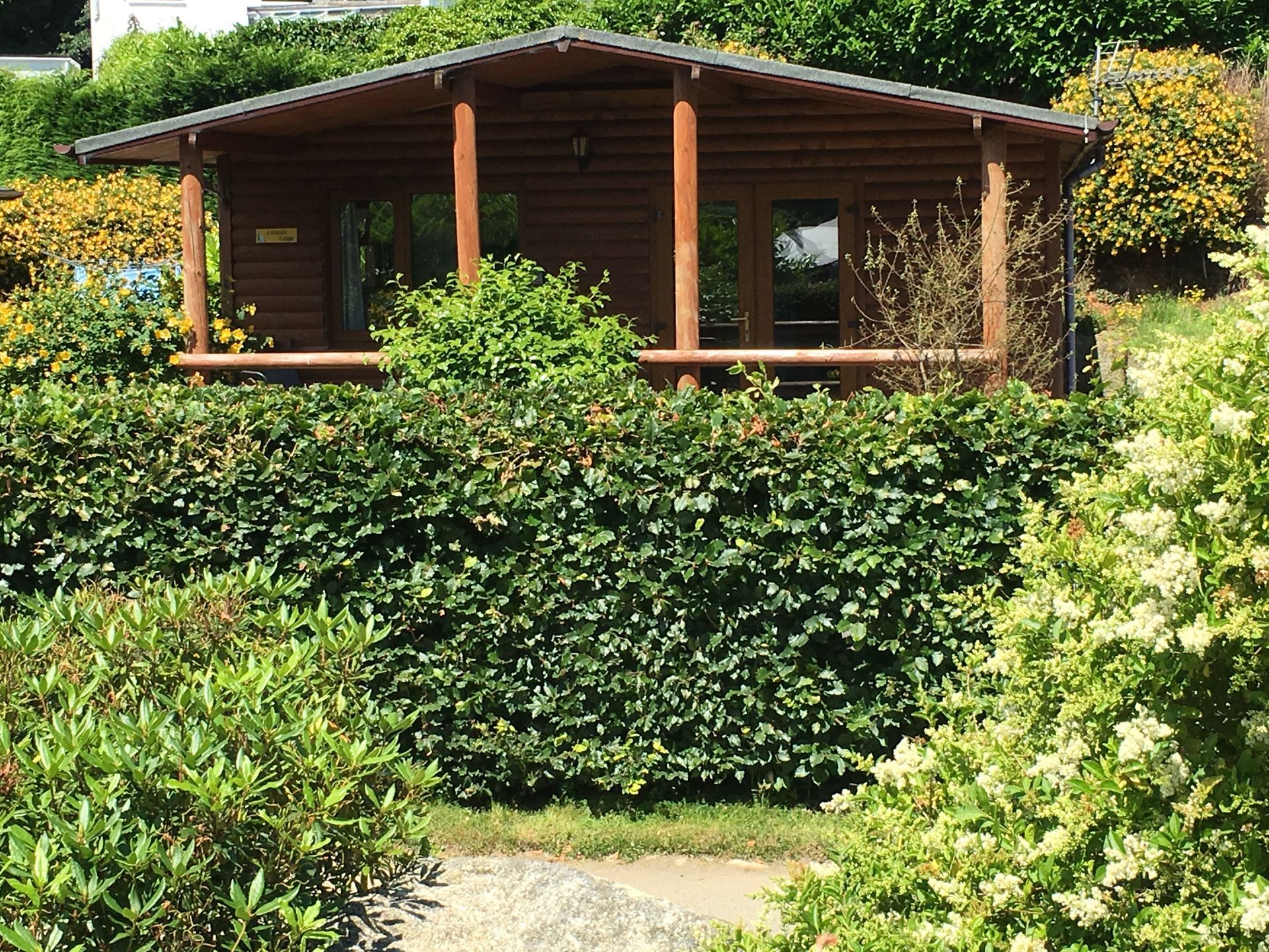 A brown log cabin sits behind a lush green hedge in a sunny, landscaped garden.