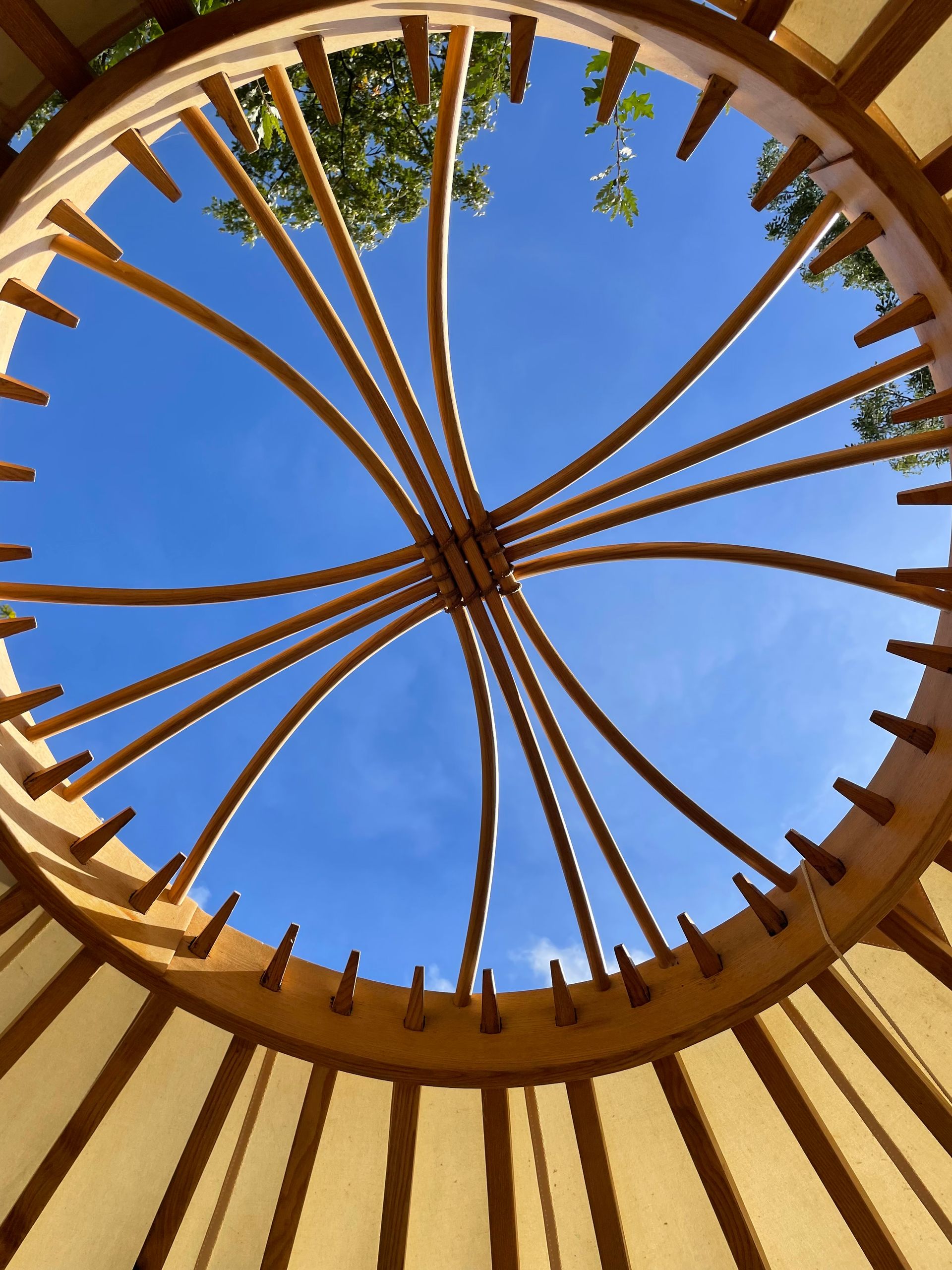 A low-angle view looking up through the circular, wooden latticework frame of a yurt ceiling at a blue sky and tree tops.