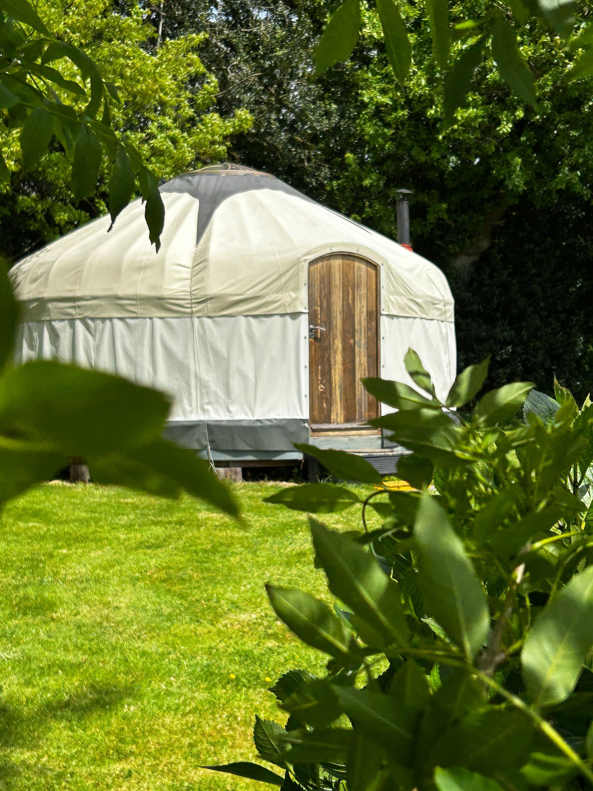 A white, circular yurt with a wooden door sits in a grassy, sunlit garden surrounded by green trees.