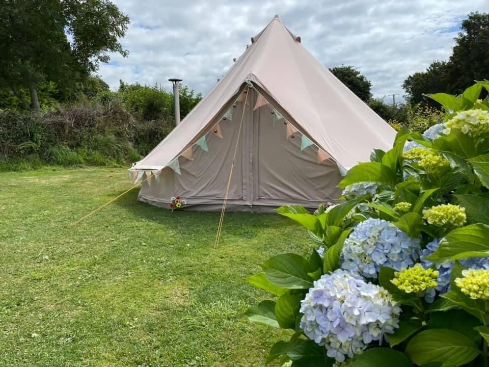 A light-colored bell tent decorated with bunting stands in a grassy field next to a blooming hydrangea bush.