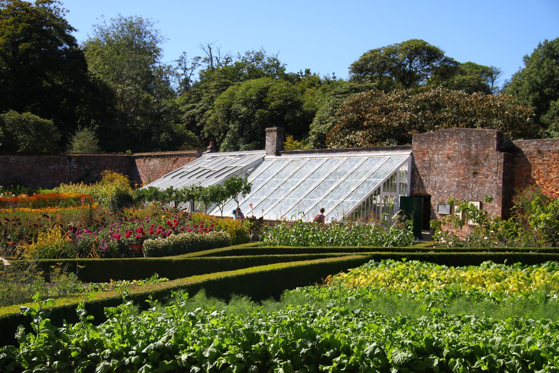 A greenhouse sits against a brick wall in a sunlit garden, surrounded by manicured hedges, vibrant flowerbeds, and crops.