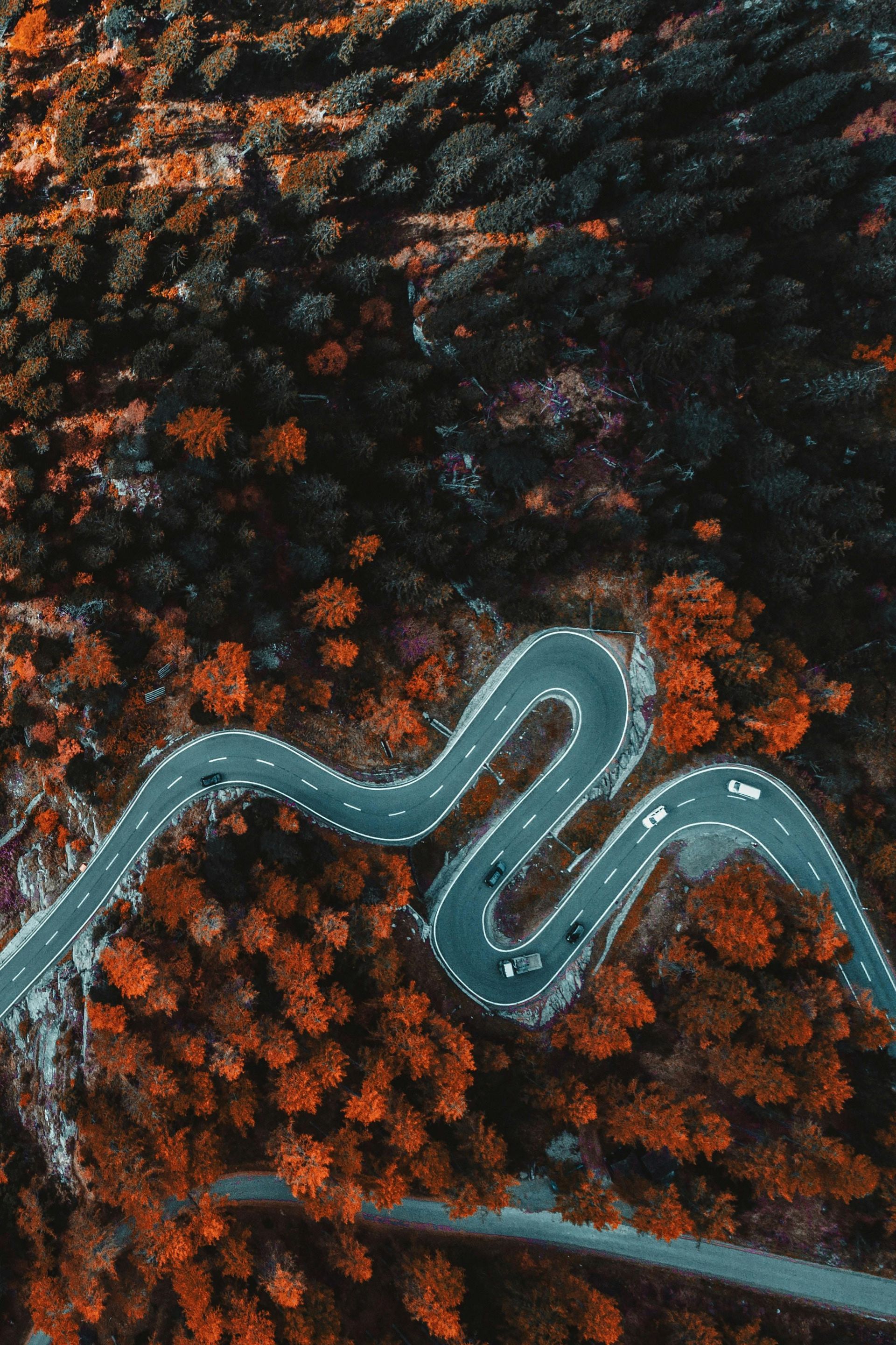 An aerial view of a winding road through a forest.
