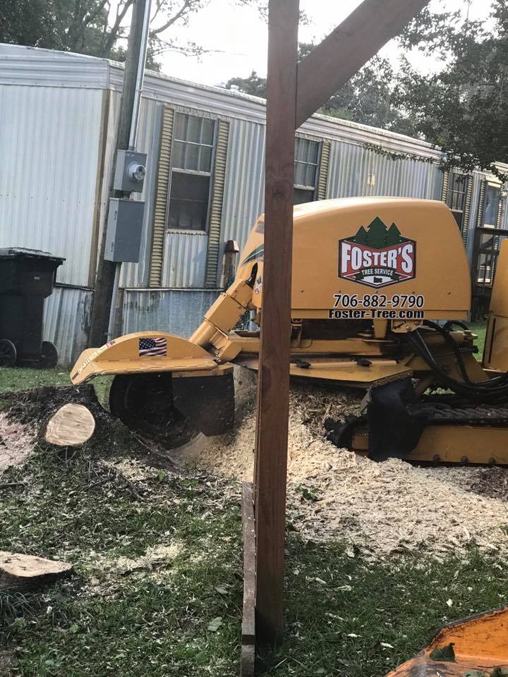 A stump grinder, operated by Foster's, grinds a tree stump next to a mobile home, creating wood shavings.