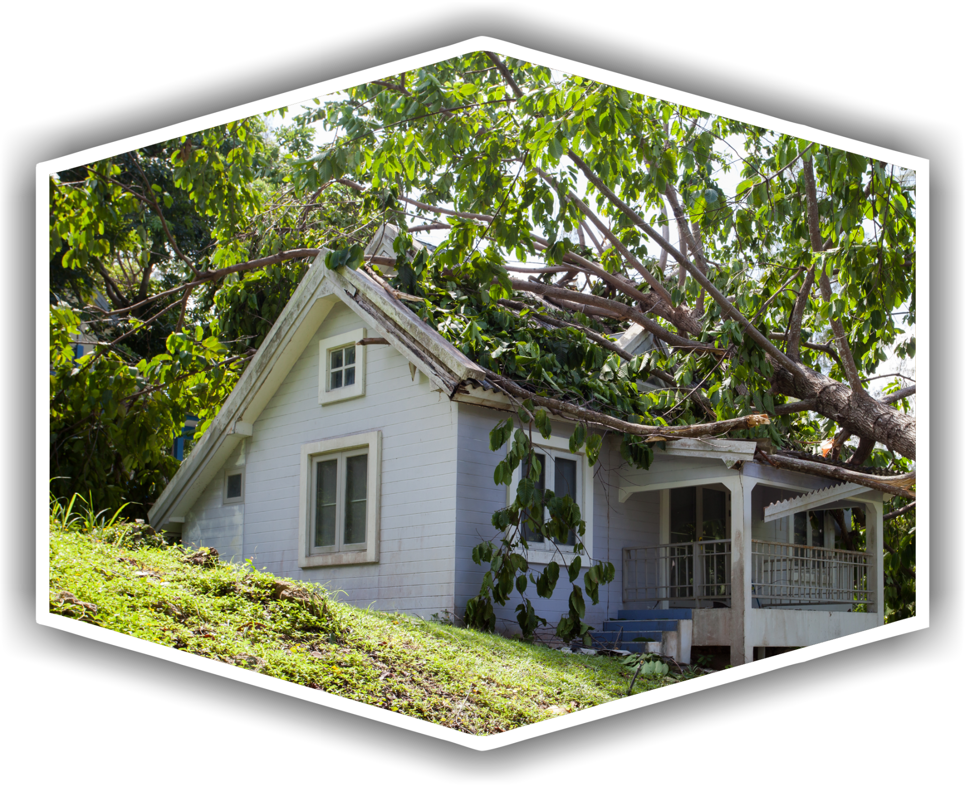 White house with tree fallen on roof.