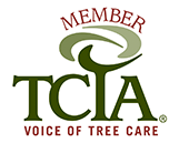 TCIA member logo: Green stylized tree image with