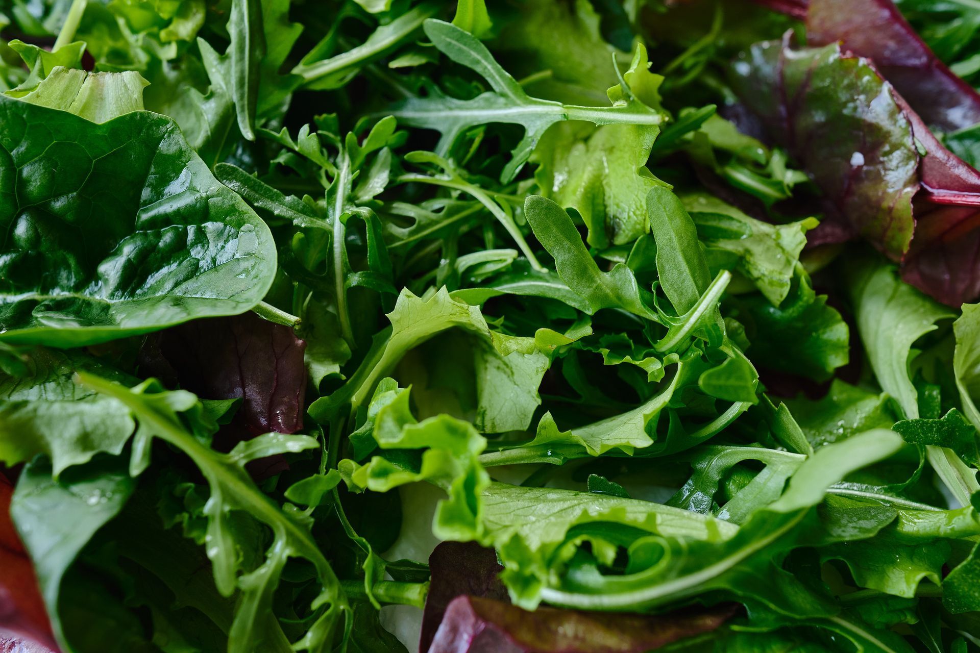 A close up of a salad with lettuce , tomatoes and other vegetables.