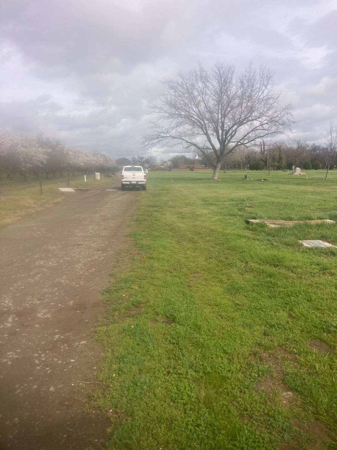 Farmington Memorial Park Cemetery grounds CA