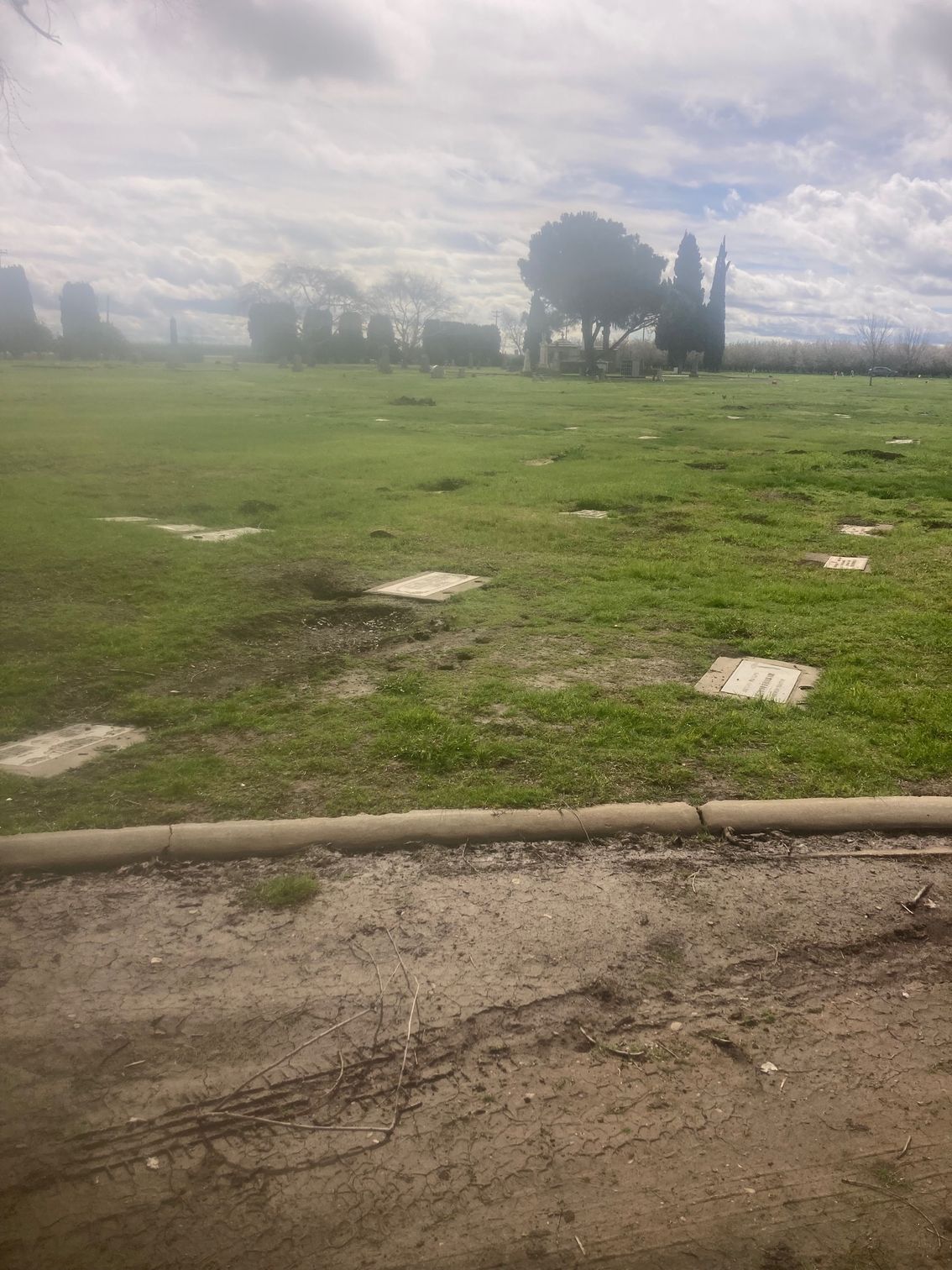 Farmington Memorial Park Cemetery grounds CA