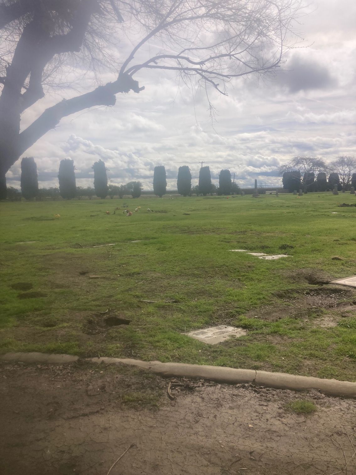 Farmington Memorial Park Cemetery grounds CA