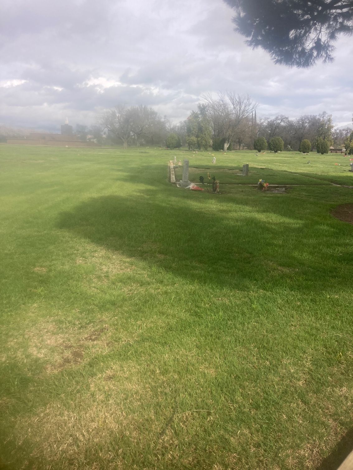 Farmington Memorial Park Cemetery grounds CA