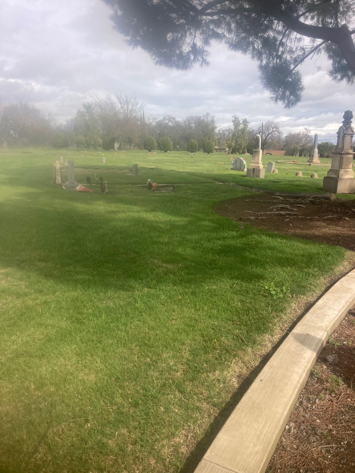 Farmington Memorial Park Cemetery grounds CA