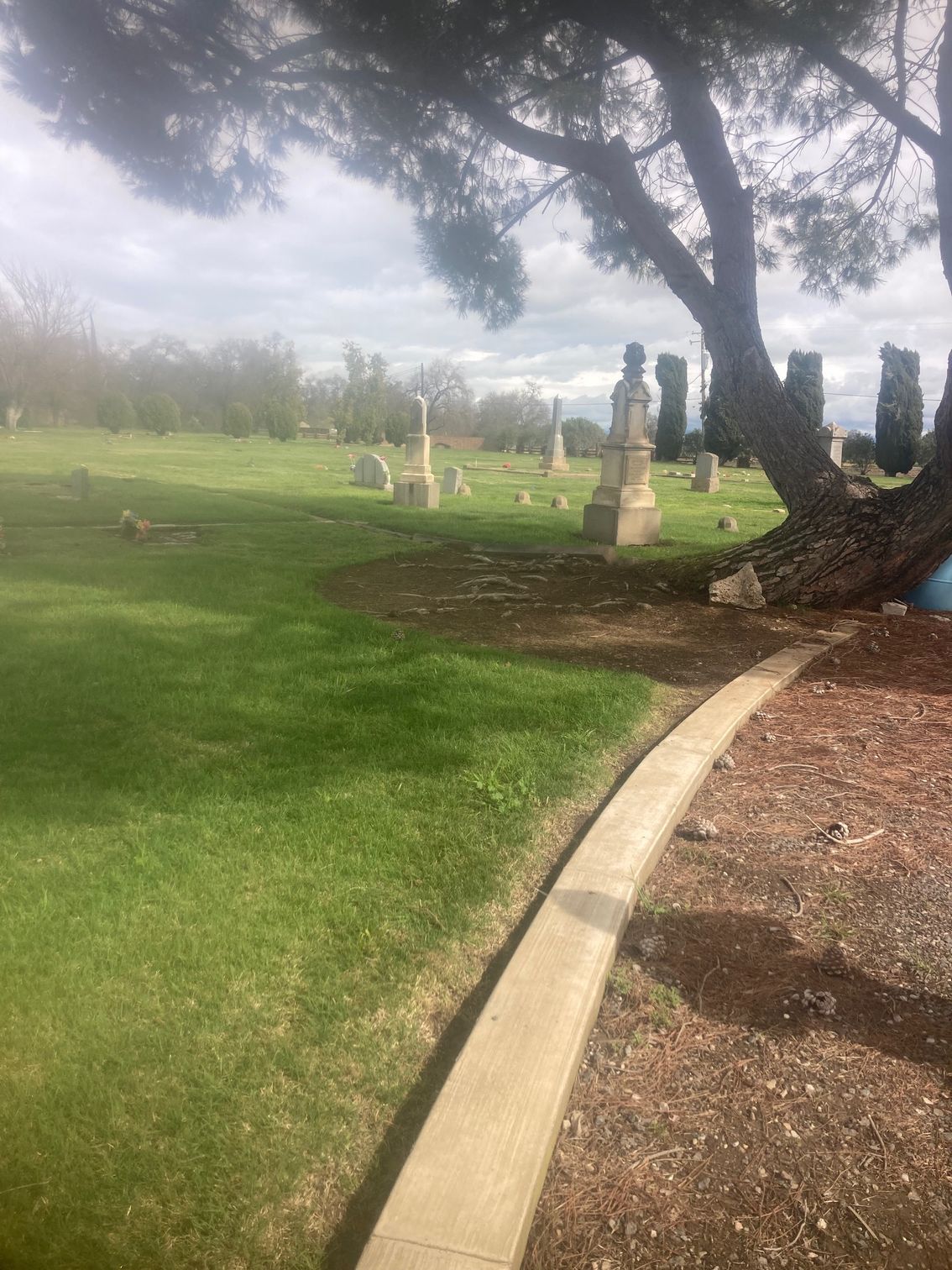 Farmington Memorial Park Cemetery grounds CA
