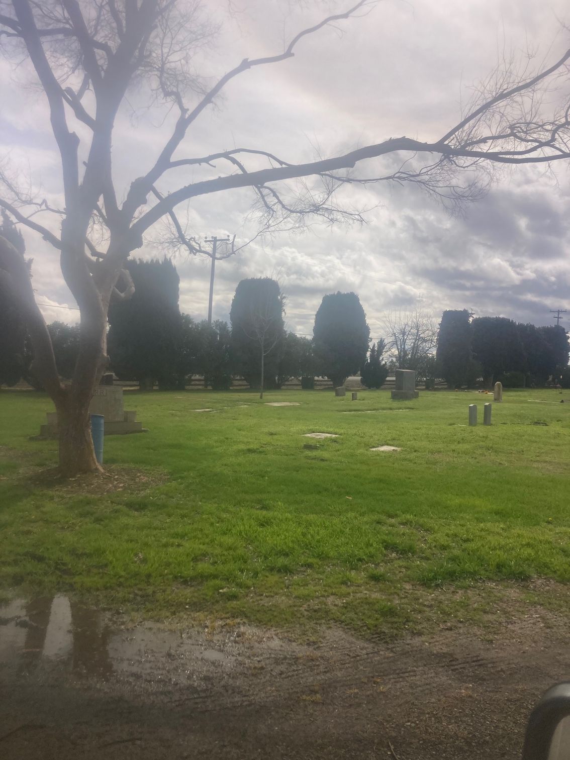 Farmington Memorial Park Cemetery grounds CA