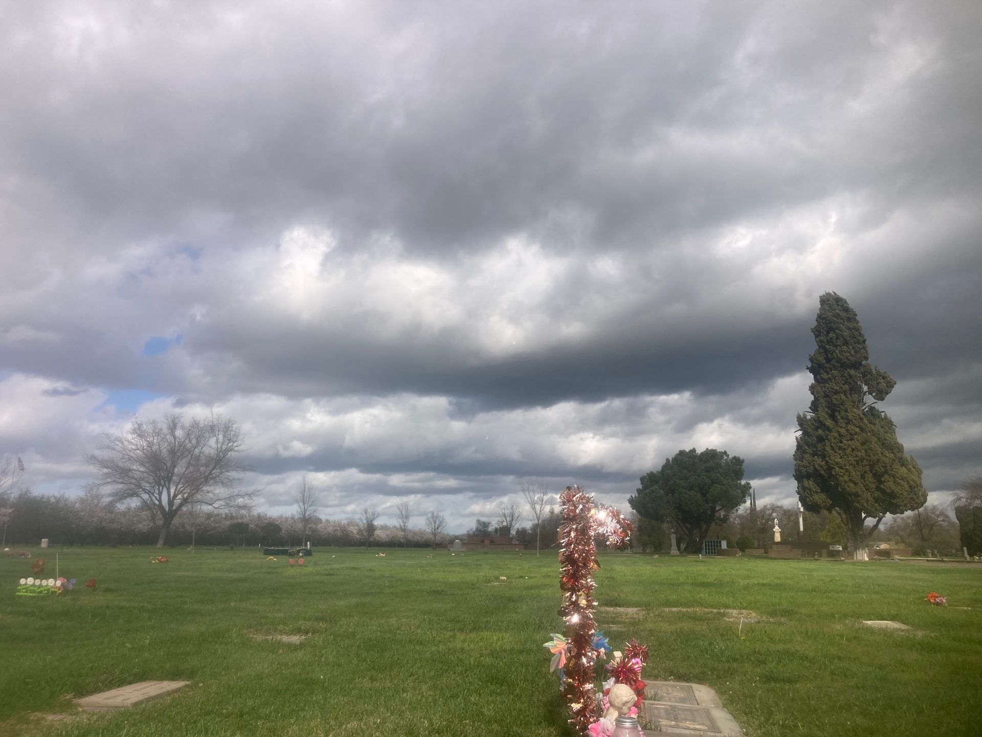 Farmington Memorial Park Cemetery grounds CA