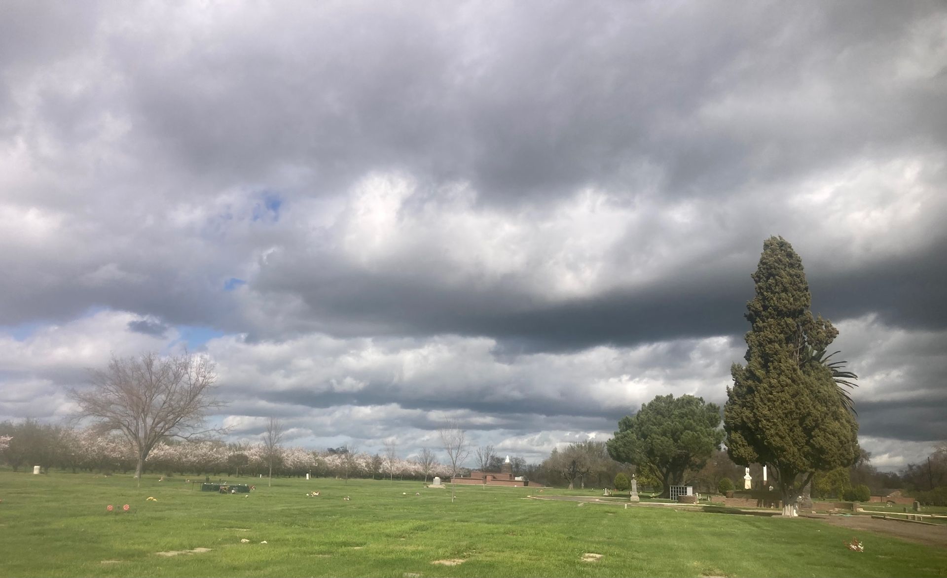 Farmington Memorial Park Cemetery grounds CA