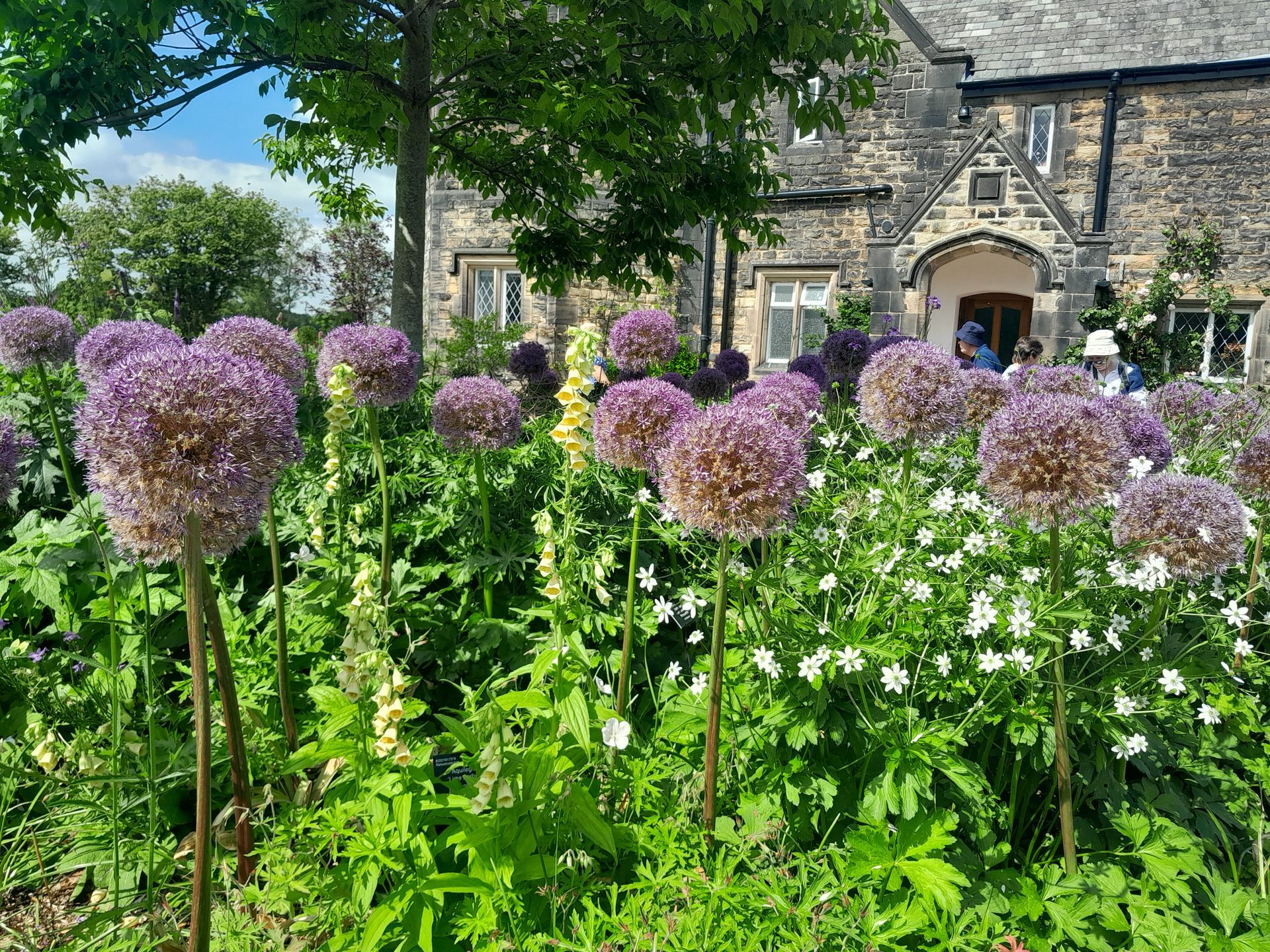 RHS Bridgewater