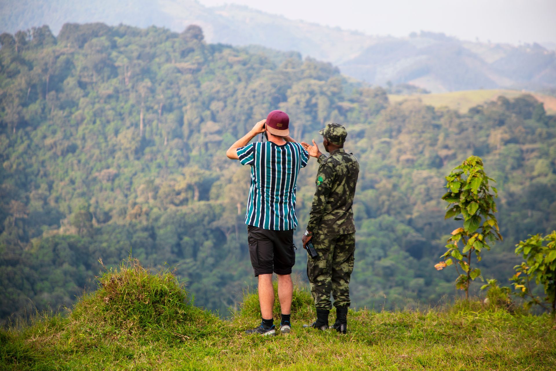 Guide showing tourist the Nyungwe Forest Panoramic View