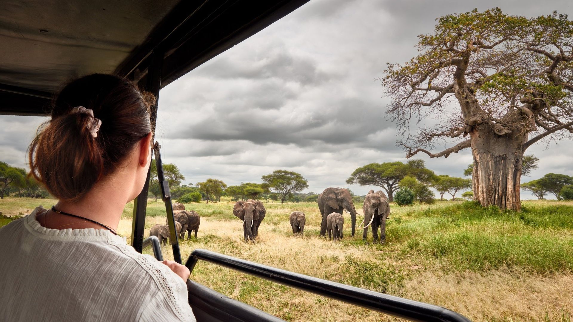 open roof safari akagera national park