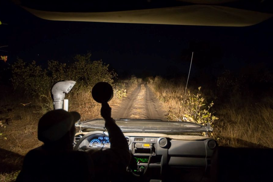driver guide using spotlight on a night game drive in Akagera