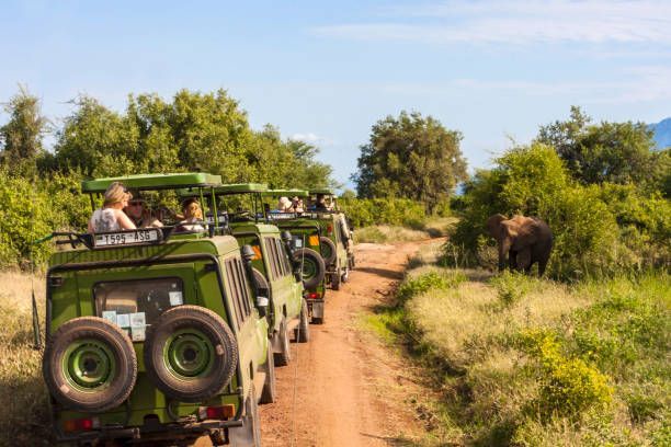 akagera group safari