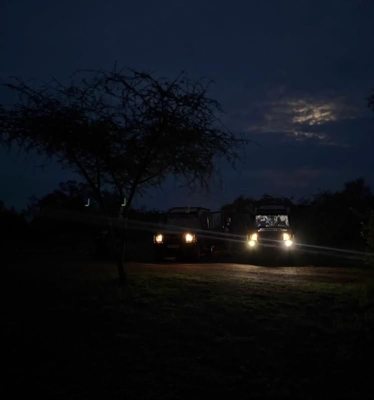 Safari cars in the dark with lifts full on during night safari
