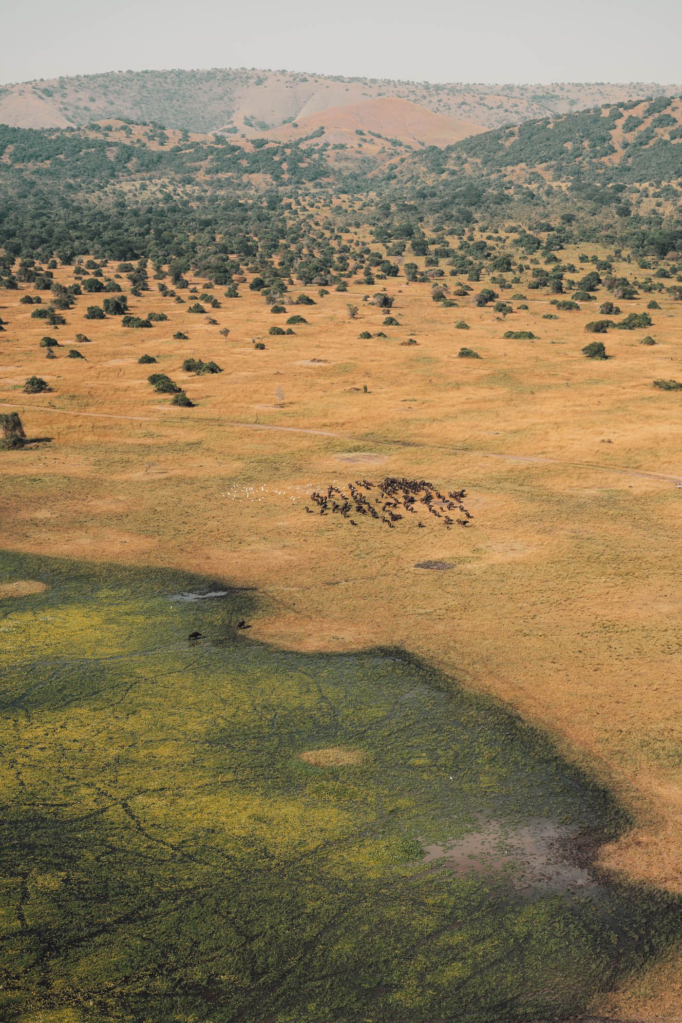 Northern plains of Akagera showing open savannah and wildlife visibility 