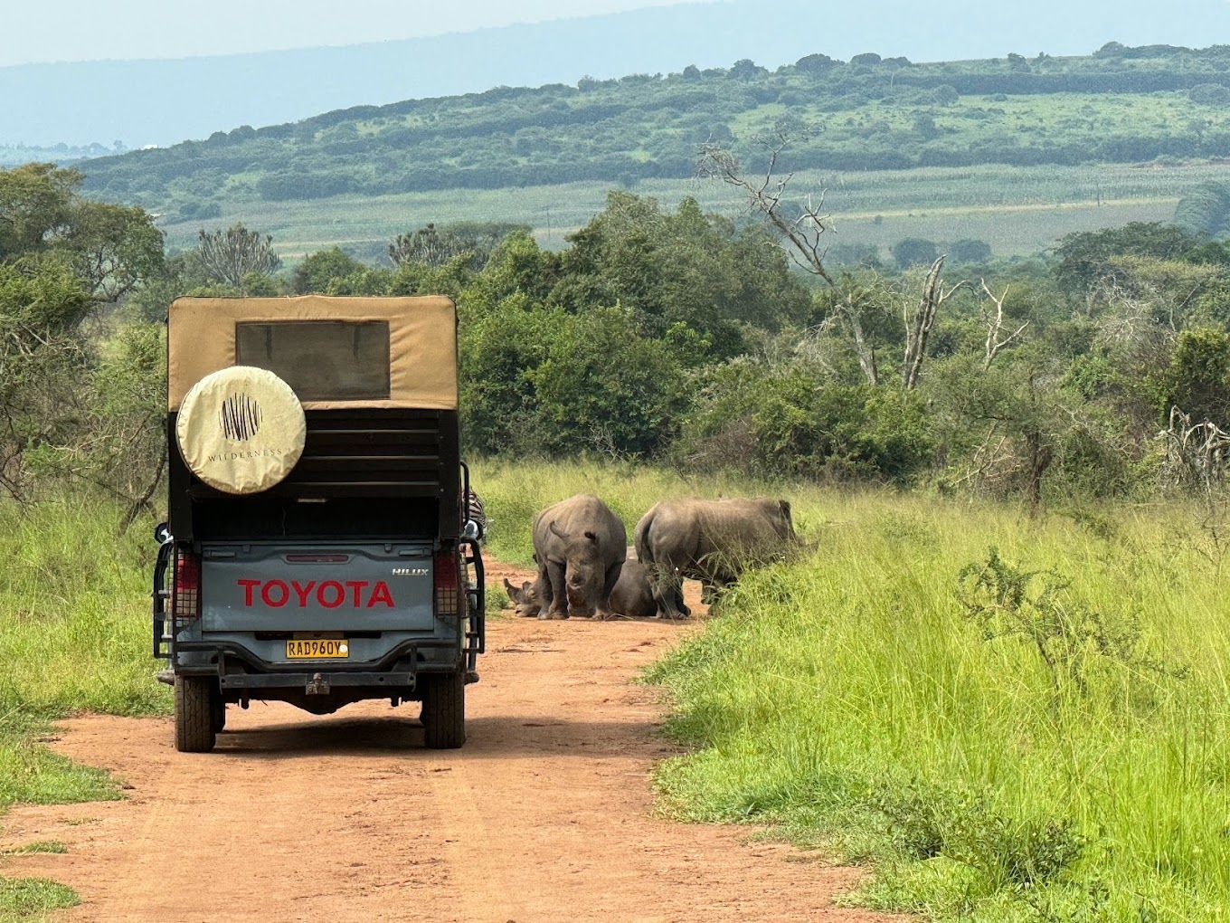safari game drive in akagera national park
