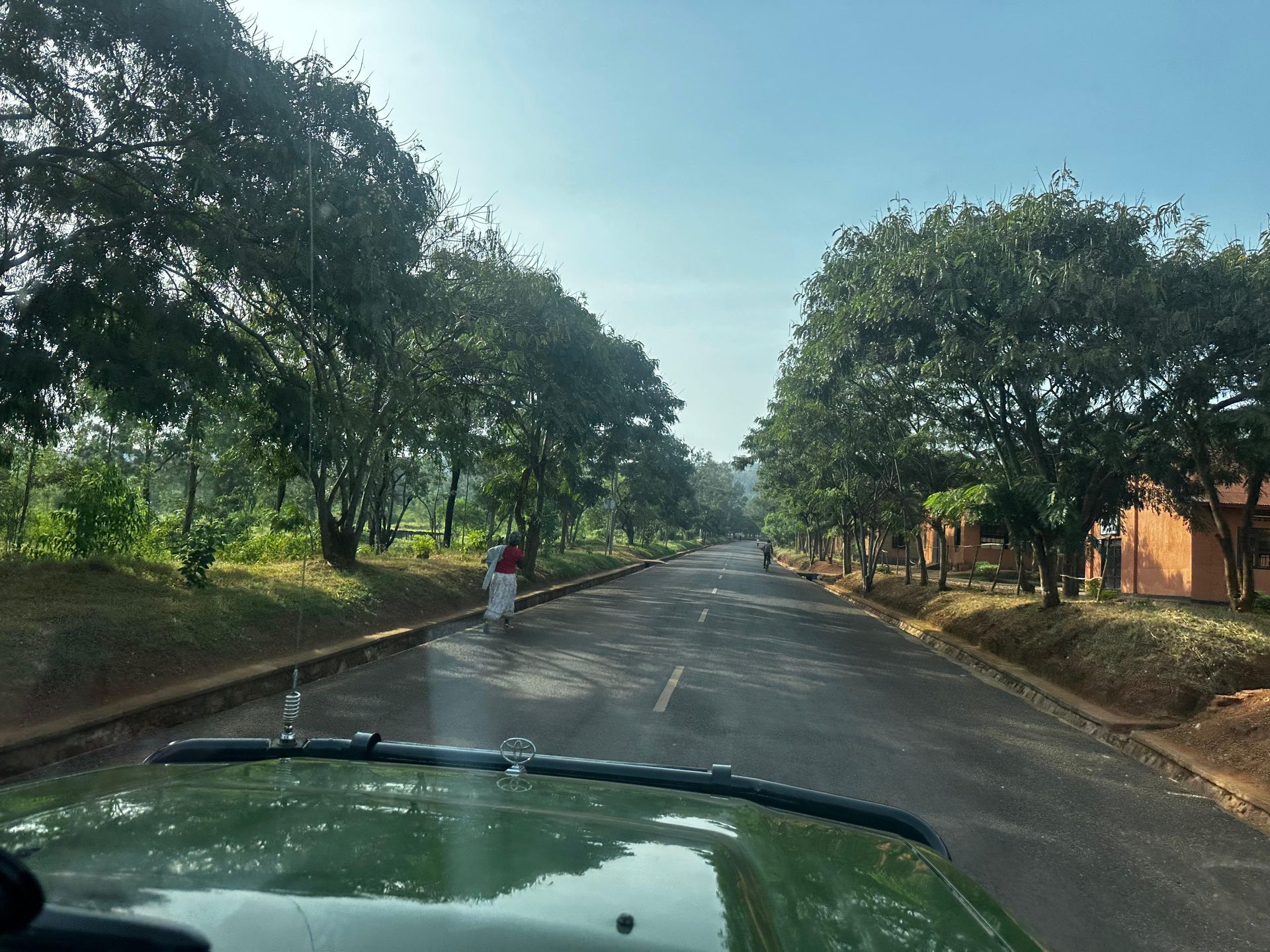 Approaching Akagera National Park on the tree-lined entrance road

