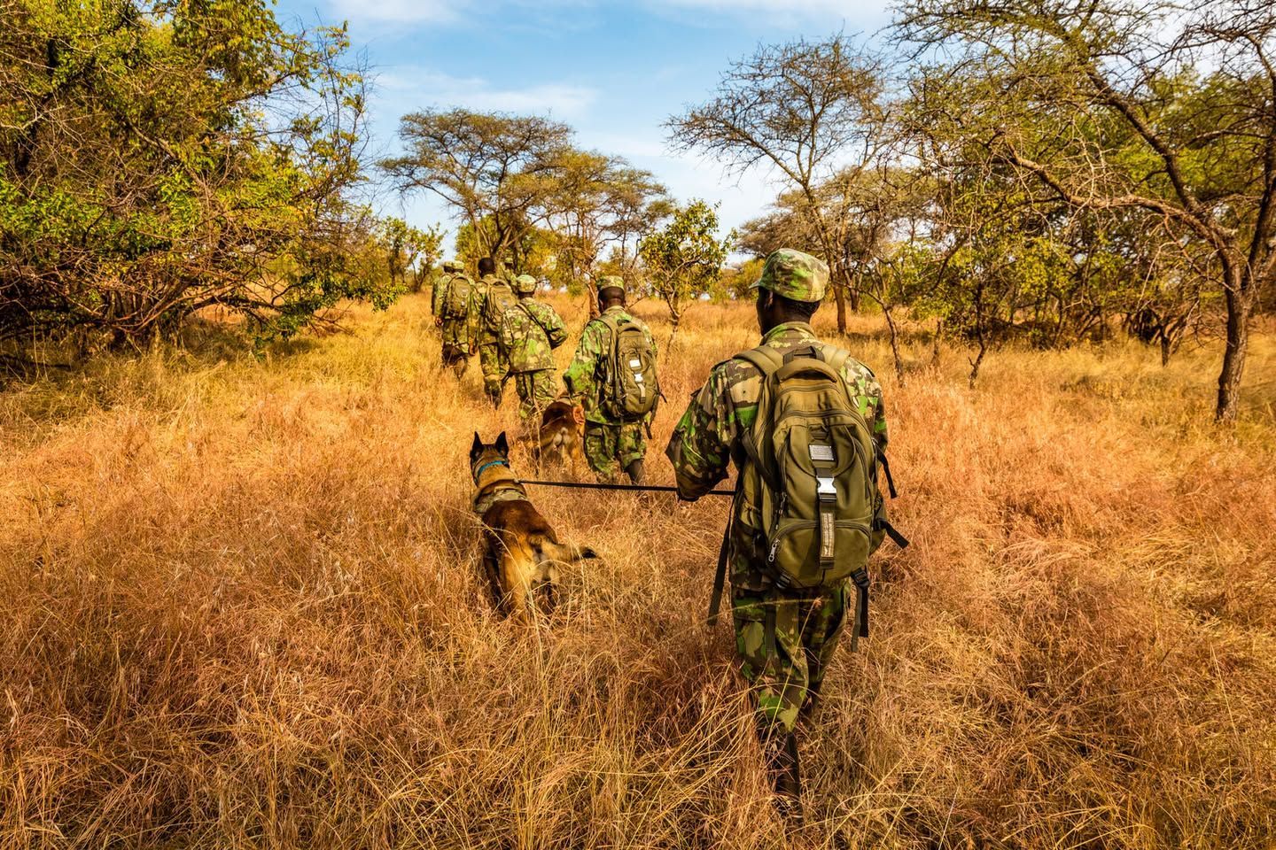 Behind the Scenes Tour and Walk the Line at Akagera National Park