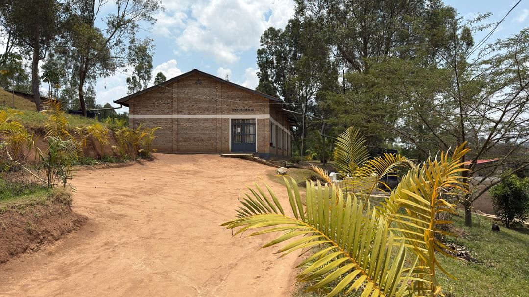 Accacia trees next to new construction