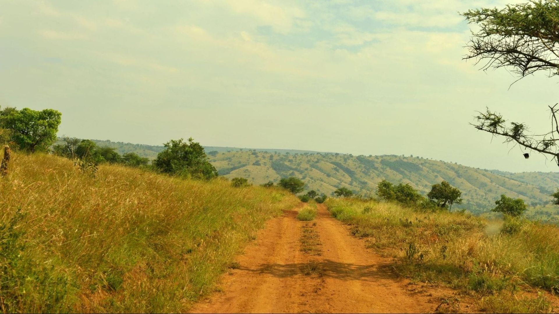 Dirt road through Akagera National Park showing the tracking experience on safari