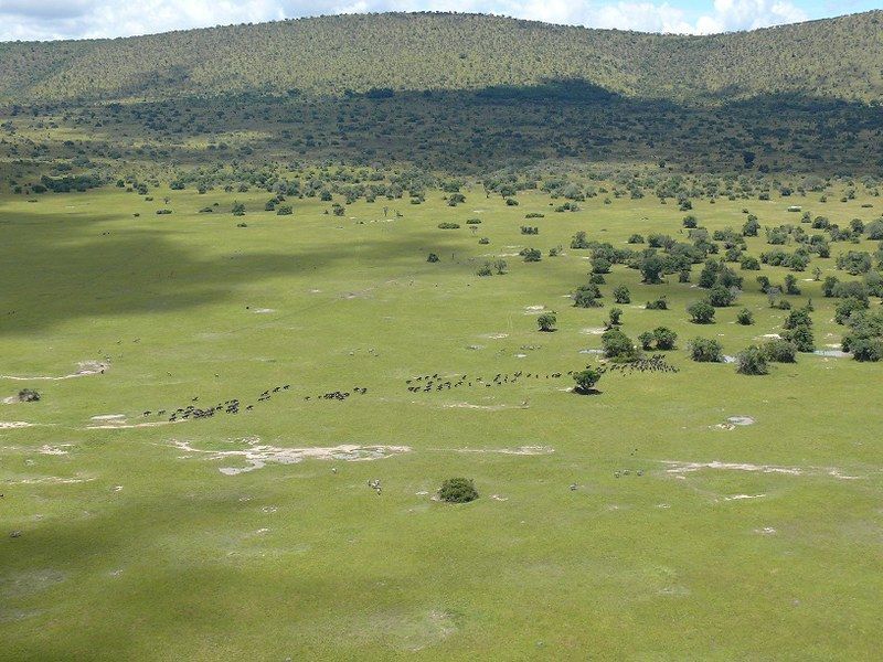 Aerial view of Akagera National Park showing rolling green hills and wildlife plains
