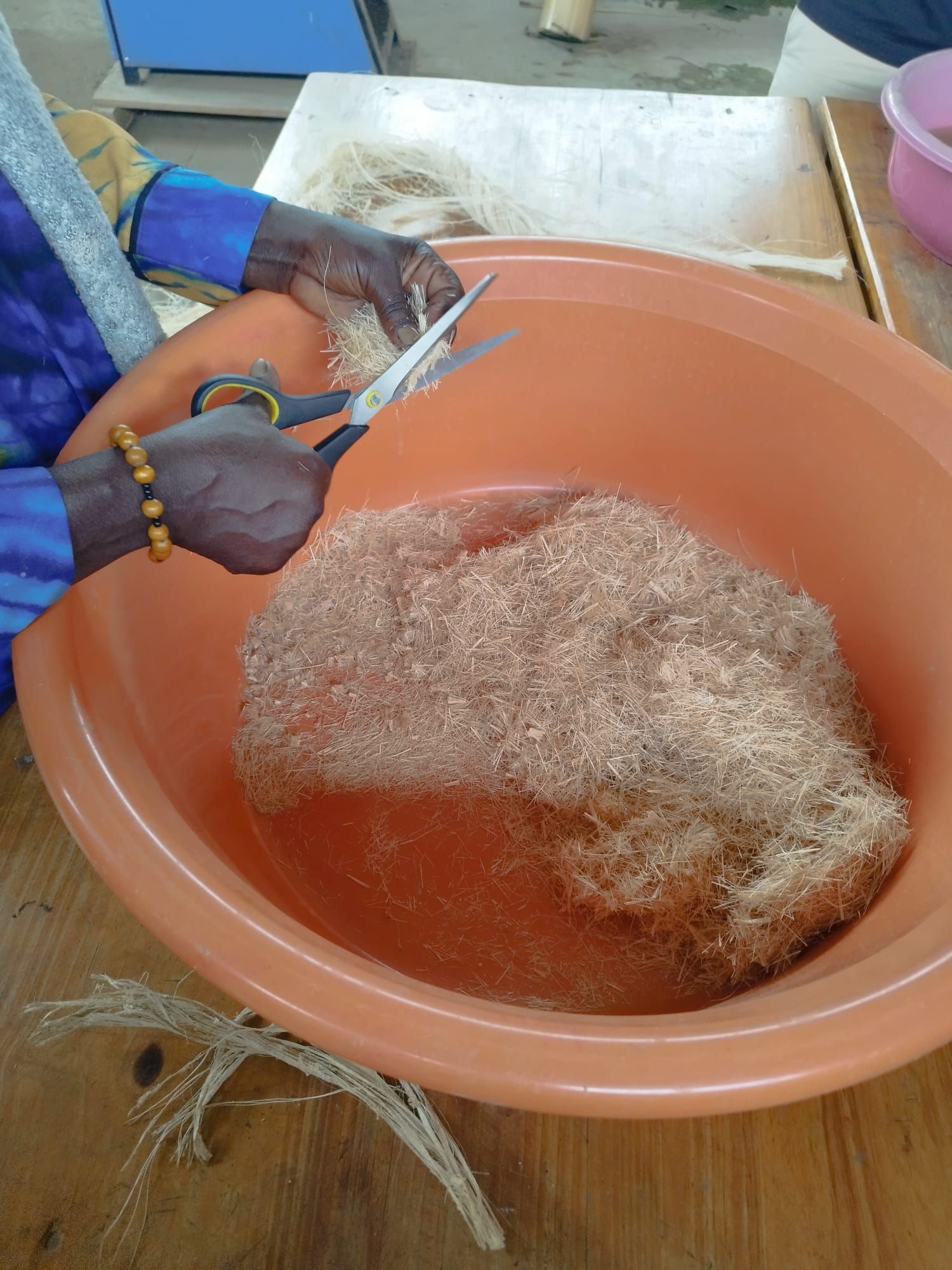 Cutting the banana fibre into smaller pieces