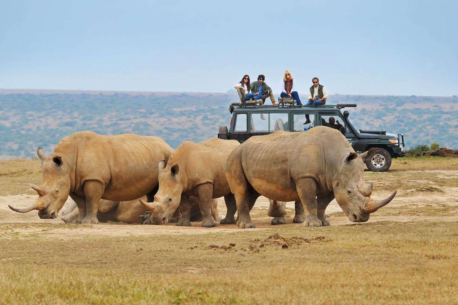 Safari tourists on vehicle roof observing rhinos under sunny sky, Akagera