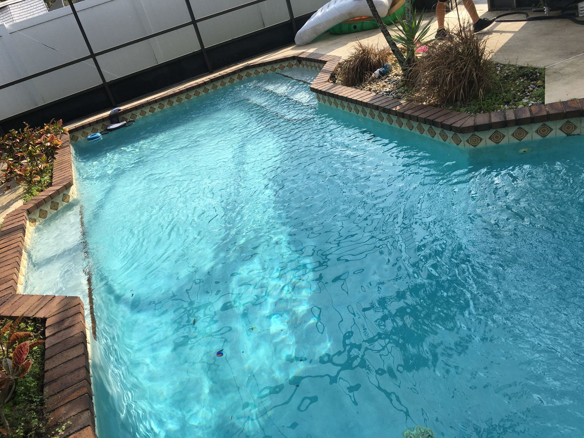 Backyard swimming pool with clear blue water, stone edging, and surrounding plants